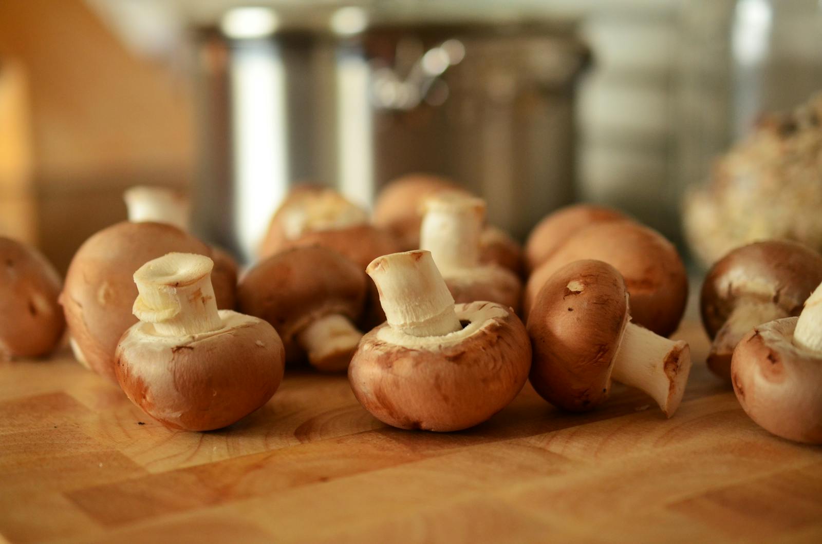 Mushroom, ciuperci, retete