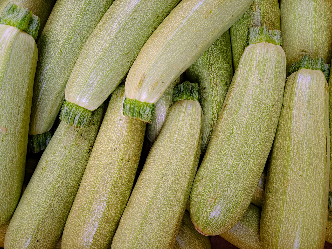 dovlecel, legume, zucchini